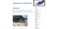 Bitàcola de MestraTic.p