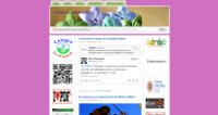 Tic- Blog Arrayanes.p