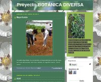 botanicadiversa_p