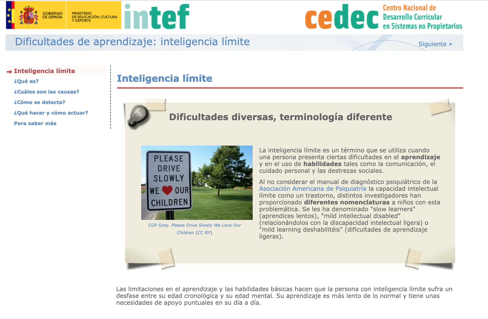Imagen de Guía de atención a la diversidad: Inteligencia límite
