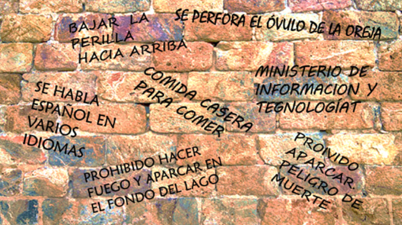 Imagen de Un informe sobre la lengua