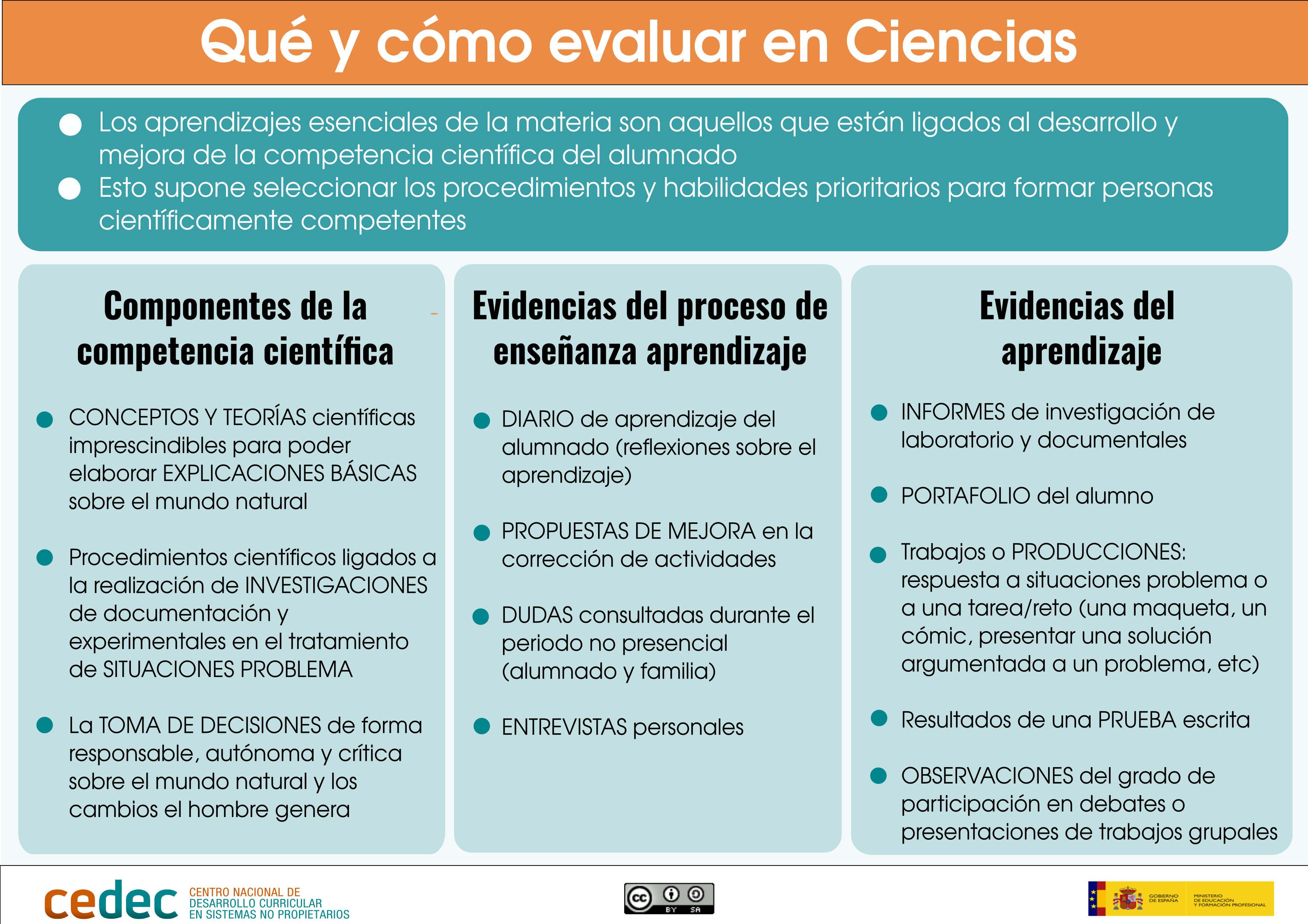 Imagen de Ideas para evaluar Ciencias