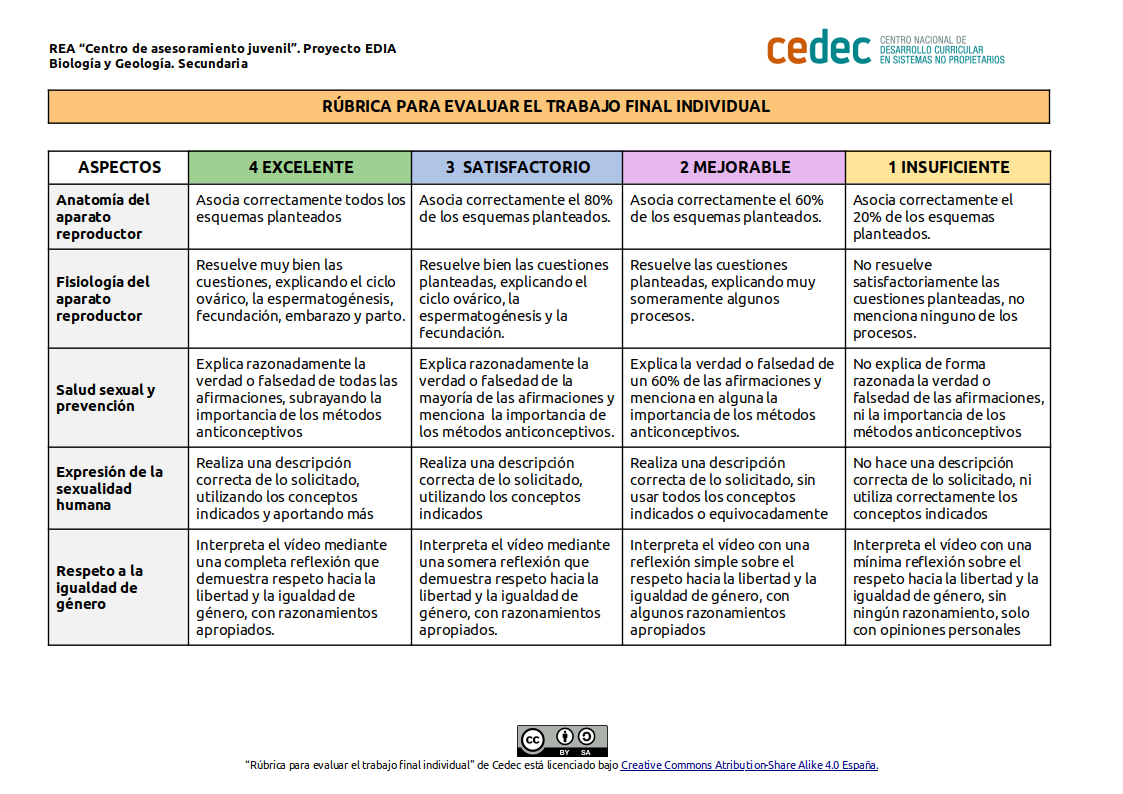 Imagen de Rúbrica para evaluar el trabajo final individual