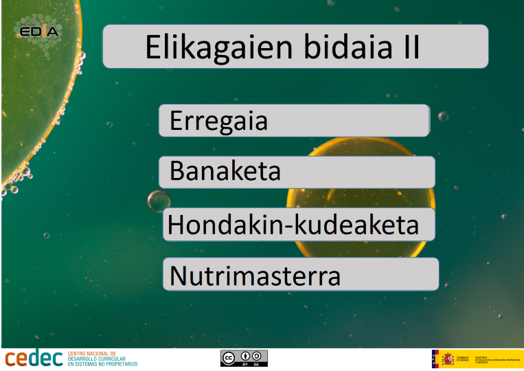 Imagen de Elikagaien bidaia (II)