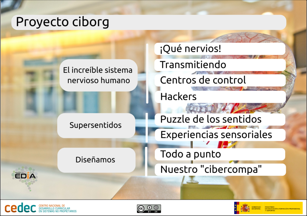 proyecto_ciborg