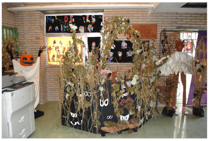Imagen15