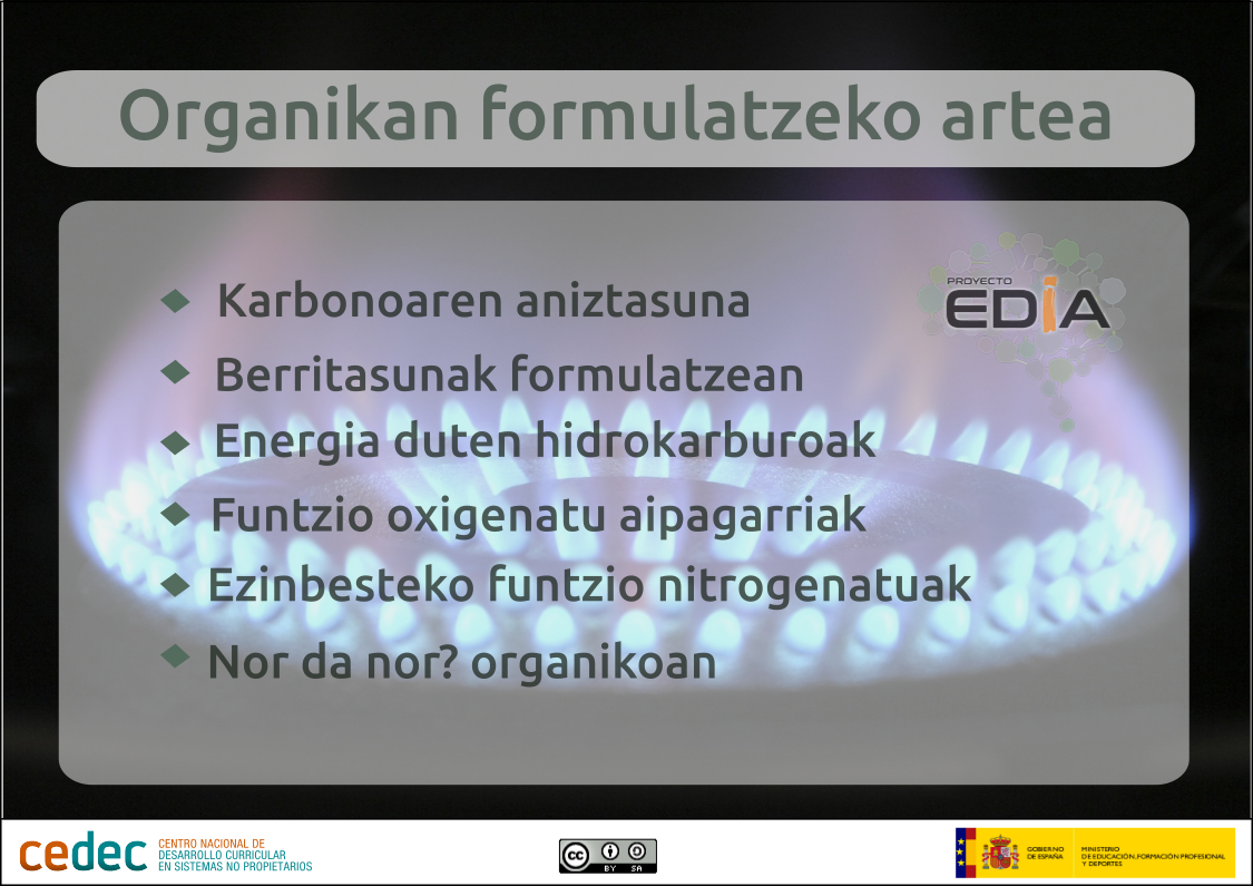 Imagen de Organikan formulatzeko artea