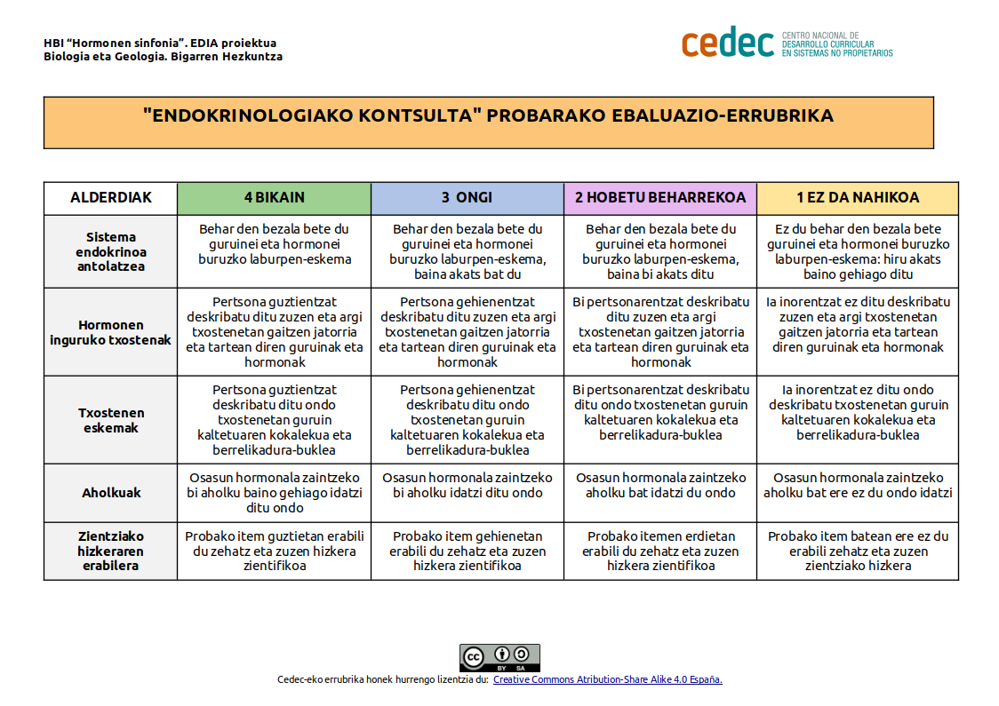 Imagen de «Endokrinologiako kontsulta» probarako ebaluazio-errubrika