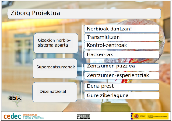 Imagen de Ziborg Proiektua