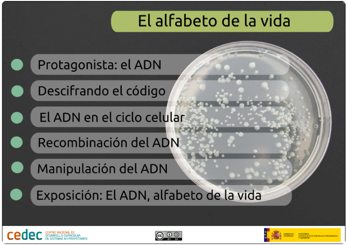 itinerario_alfabeto